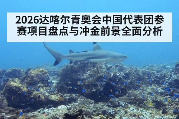2026达喀尔青奥会中国代表团参赛项目盘点与冲金前景全面分析